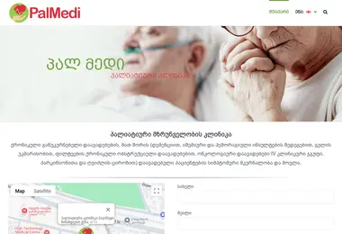 Screenshot of palmedi.ge