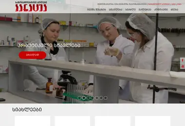 Screenshot of panacea.edu.ge