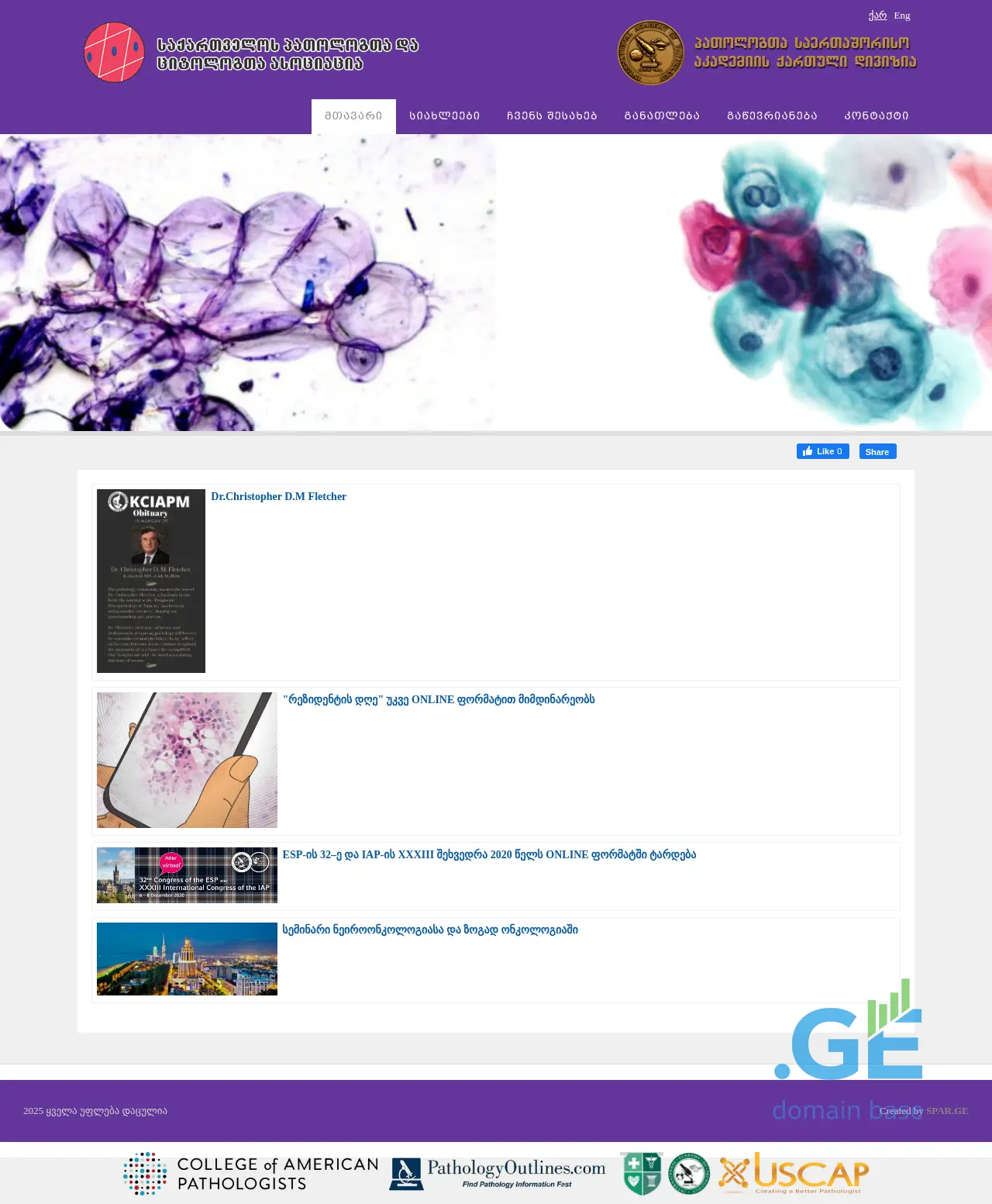 Screenshot of the site pathall.ge