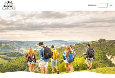 Screenshot of patikaiepm.ge