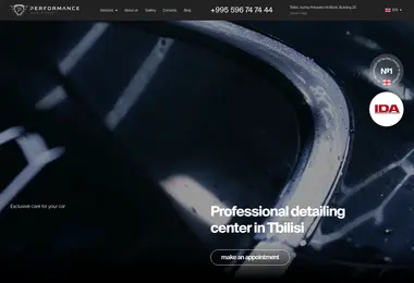 Screenshot of performance.ge