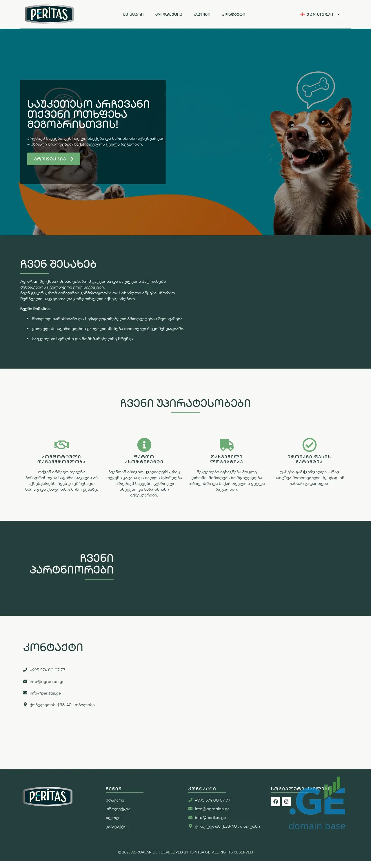 Screenshot of the site peritas.ge