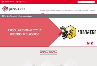 Screenshot of peritus.ge