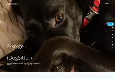 Screenshot of piko.ge
