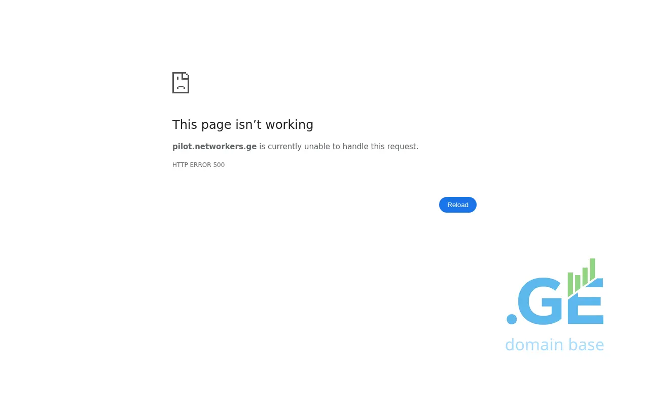 Screenshot of the site pilot.networkers.ge