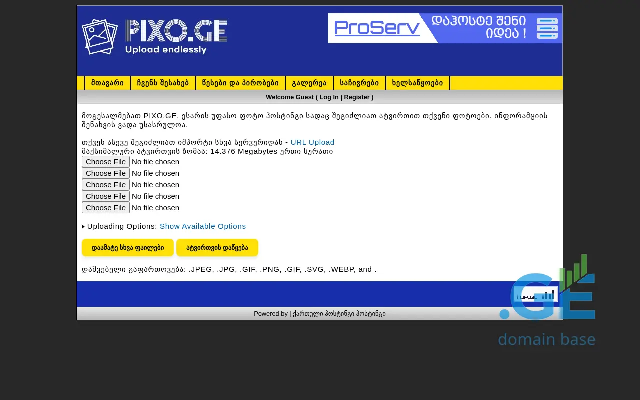 Screenshot of the site pixo.ge