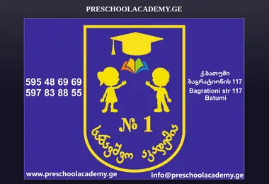 Screenshot of preschoolacademy.ge