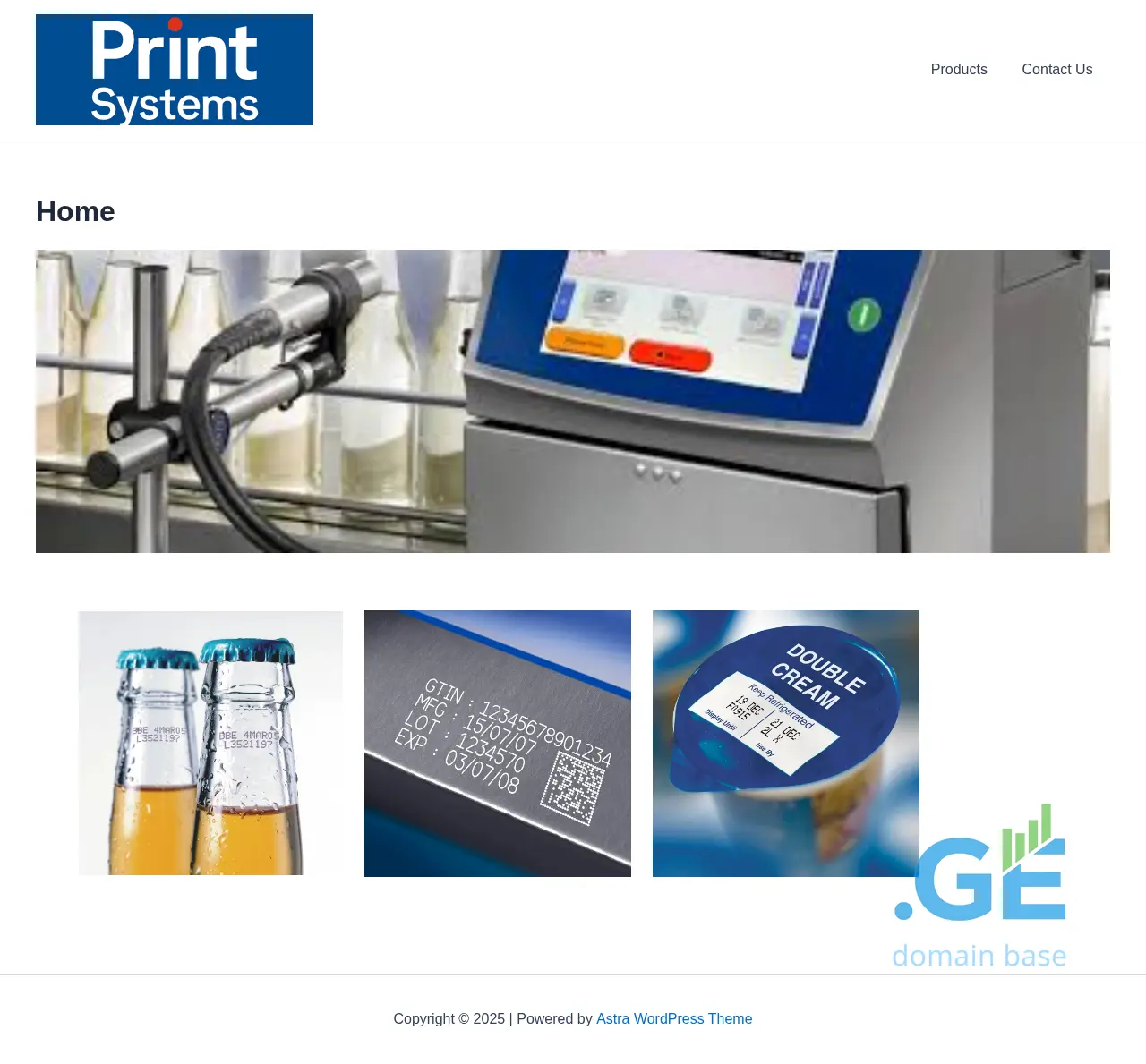 Screenshot of the site printsystems.ge