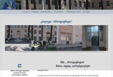 Screenshot of profiuniti.ge