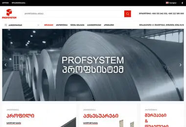 Screenshot of profsystem.ge