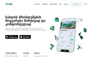 Screenshot of profy.ge