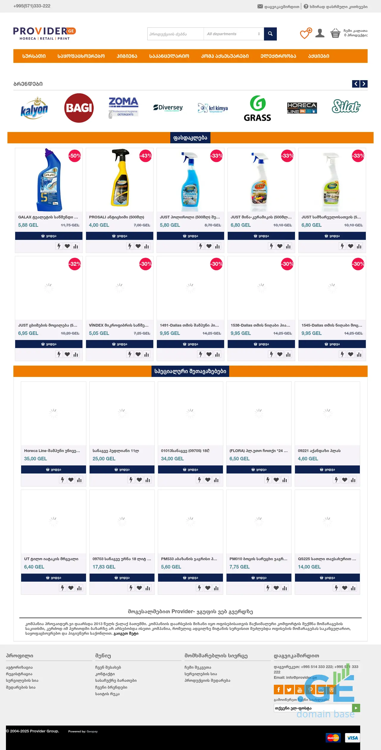 Screenshot of the site provider.ge