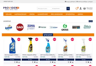 Screenshot of providergroup.ge