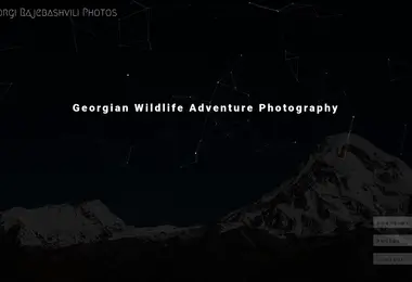 Screenshot of rajebashvili.ge