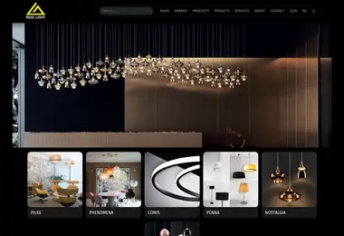 Screenshot of reallight.ge