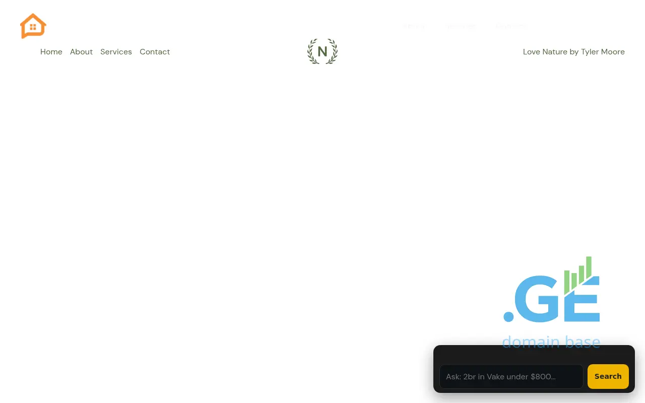Screenshot of the site resido.ge