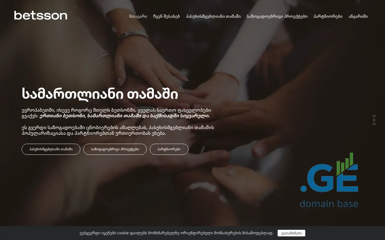 Screenshot of the site responsible.ge