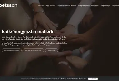 Screenshot of responsible.ge