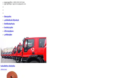Screenshot of rigiservice.ge