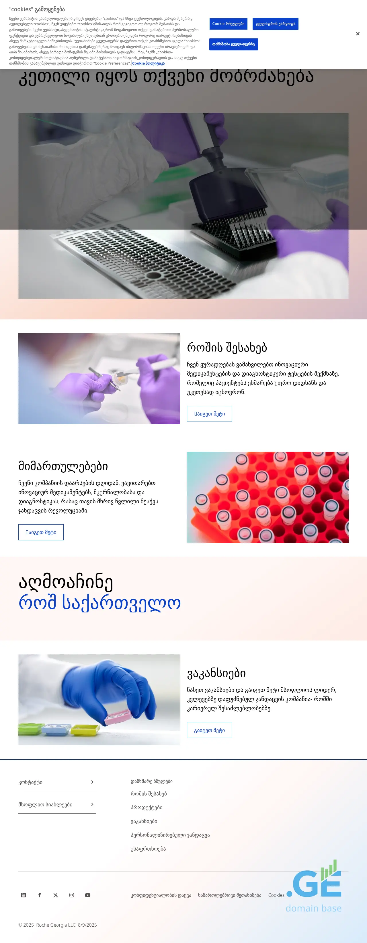Screenshot of the site roche.ge