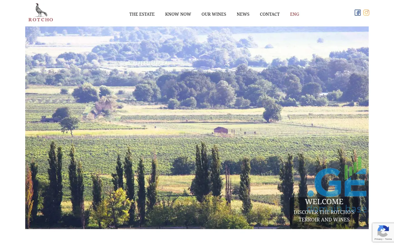 Screenshot of the site rotcho.ge
