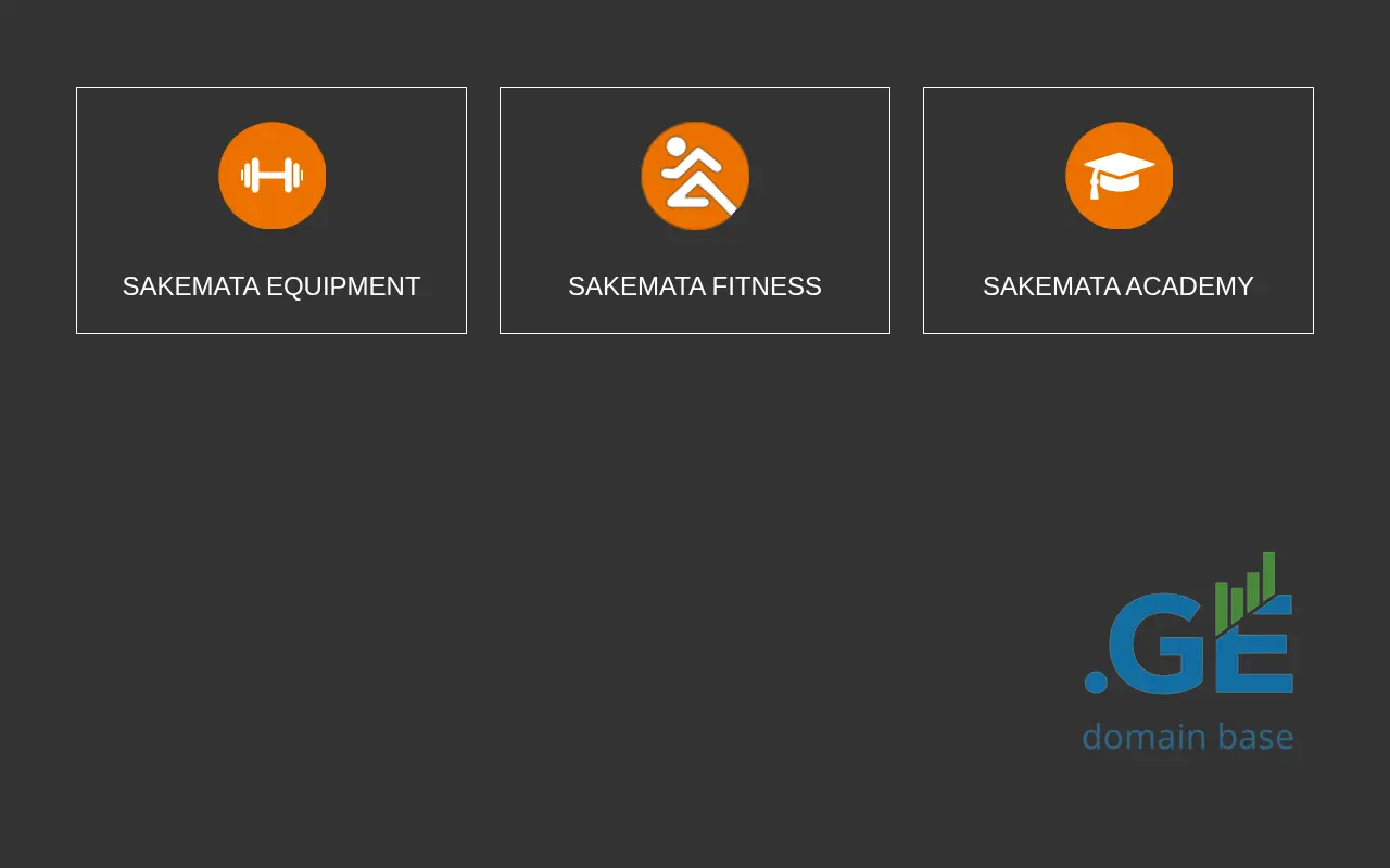 Screenshot of the site sakemata.ge