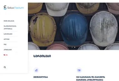 Screenshot of salus.ge