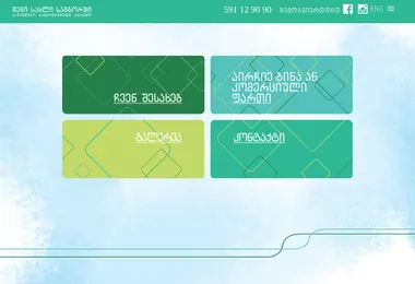 Screenshot of samgorihouse.ge