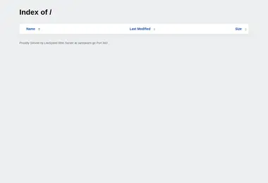Screenshot of samiskami.ge