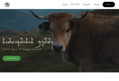 Screenshot of samtavrisifarm.ge