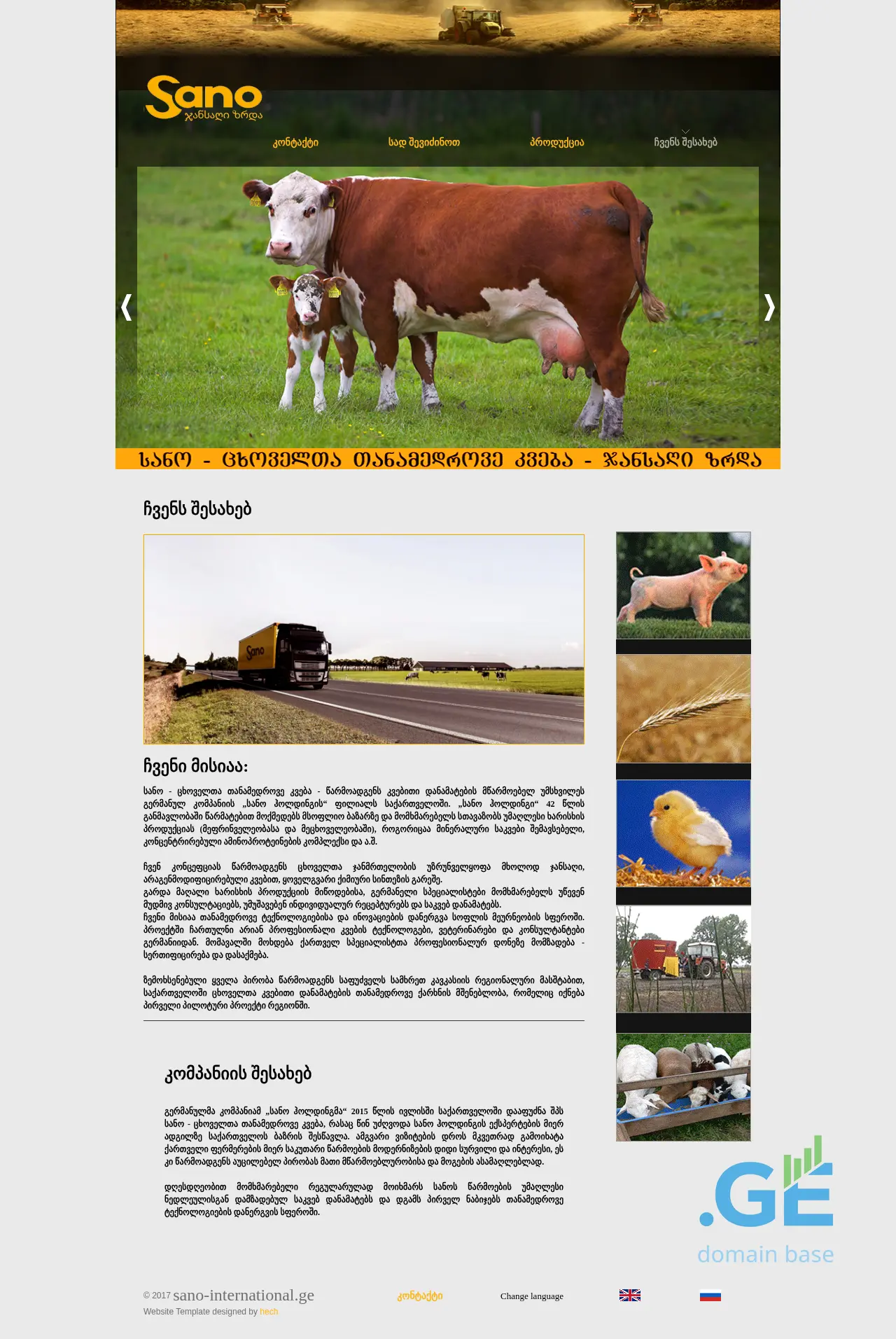 Screenshot of the site sano-international.ge