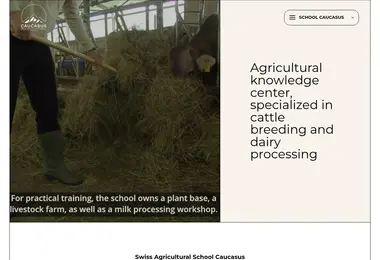 Screenshot of sasc.ge