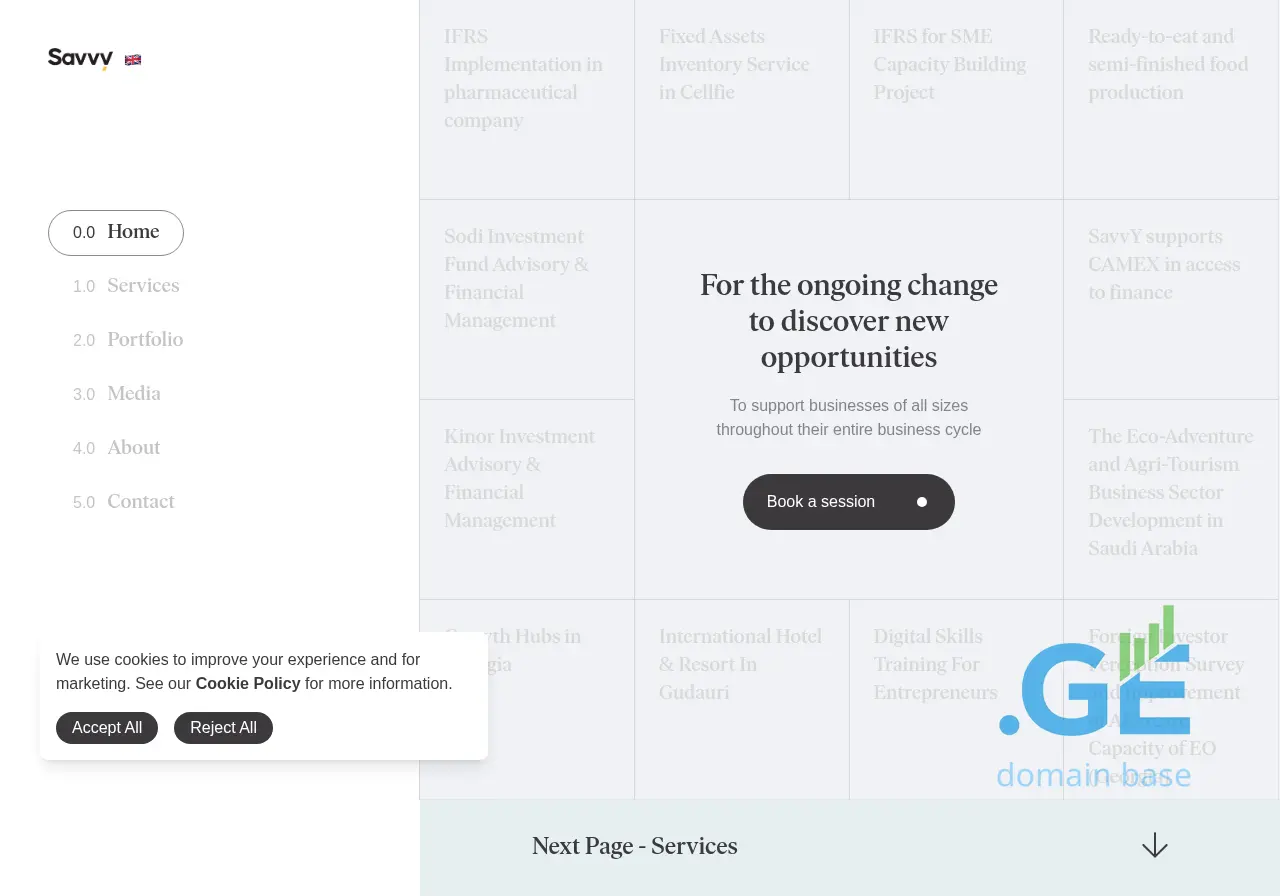 Screenshot of the site savvy.ge
