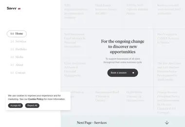 Screenshot of savvy.ge