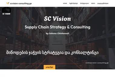 Screenshot of scvision-consulting.ge