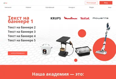 Screenshot of sebacademy.ge