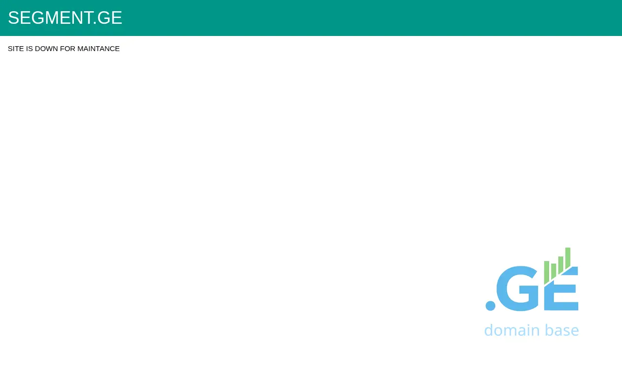 Screenshot of the site segment.ge