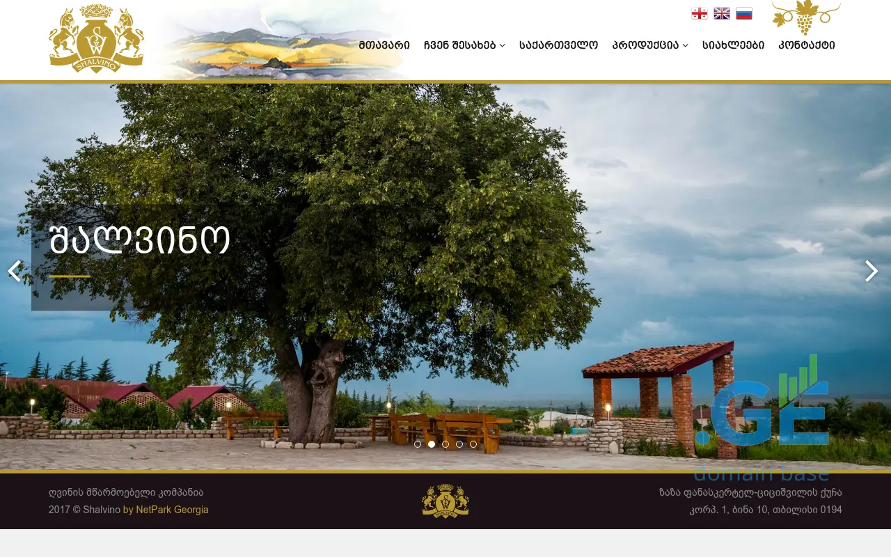 Screenshot of the site shalvino.ge