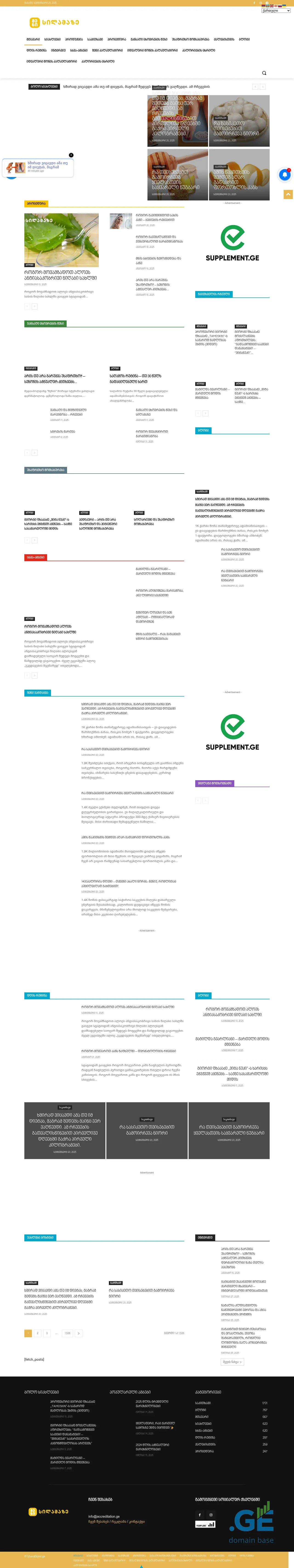 Screenshot of the site shenisilamaze.ge
