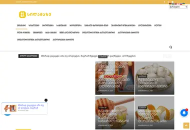 Screenshot of shenisilamaze.ge