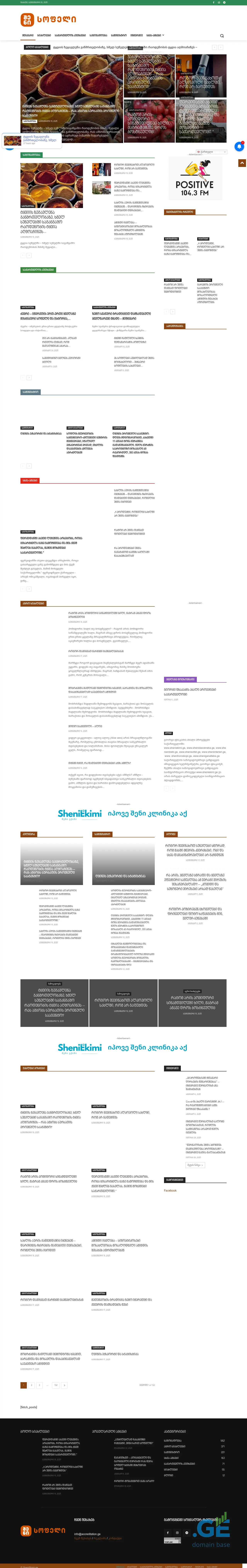 Screenshot of the site shenisofeli.ge