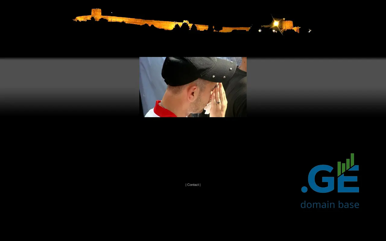 Screenshot of the site signagi.ge