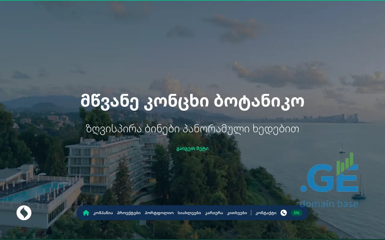 Screenshot of the site silkdevelopment.ge