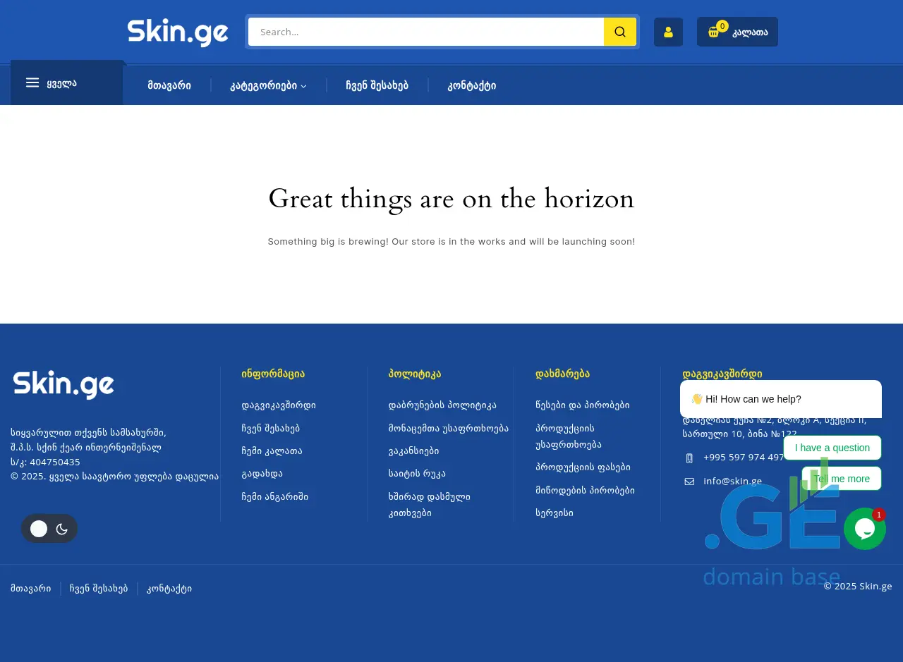 Screenshot of the site skin.ge