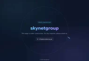 Screenshot of skynetgroup.ge