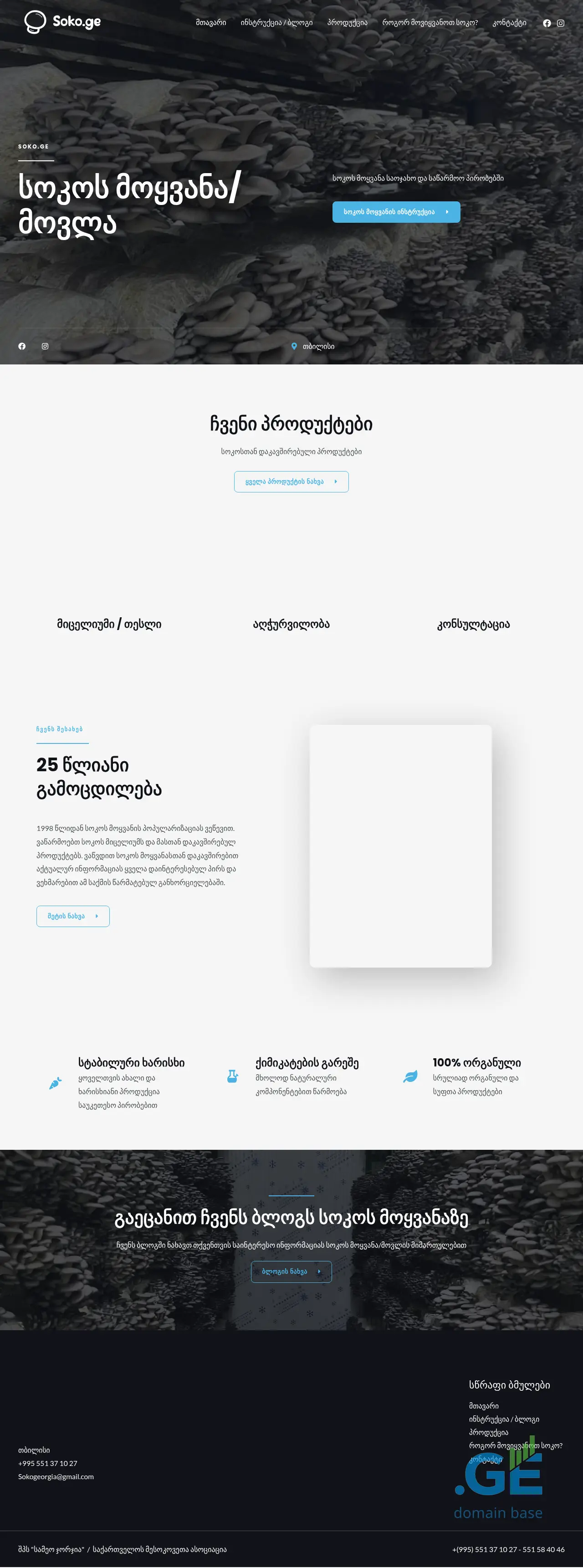 Screenshot of the site soko.ge