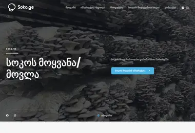 Screenshot of soko.ge