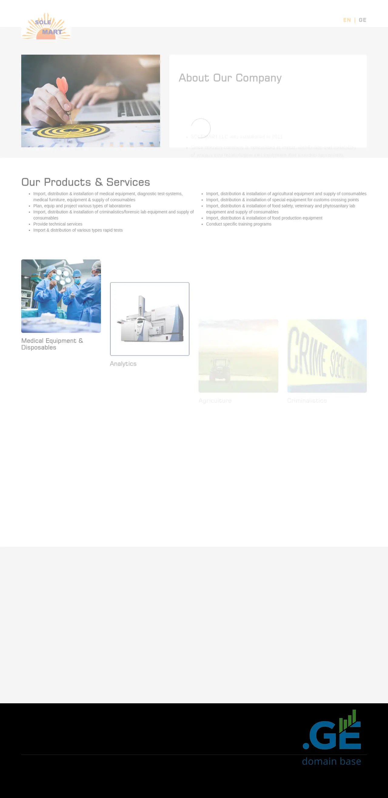 Screenshot of the site solemart.ge