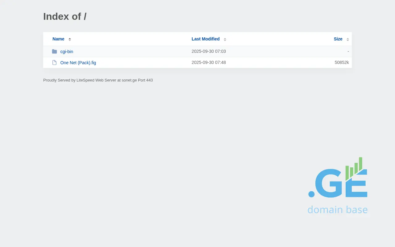 Screenshot of the site sonet.ge