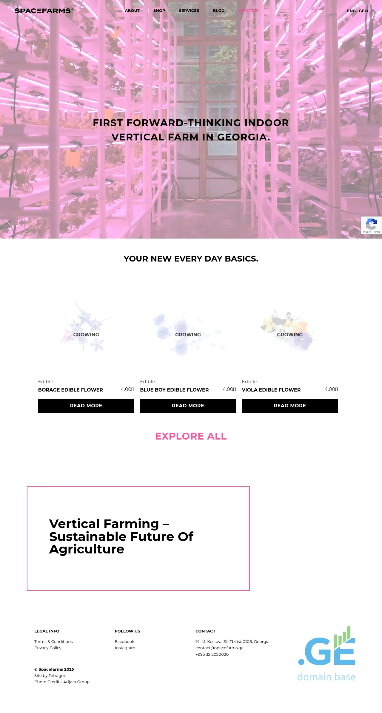 Screenshot of the site spacefarms.ge